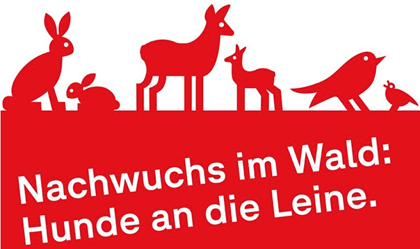 Ein Bild, das Text, Darstellung enthält.

KI-generierte Inhalte können fehlerhaft sein.