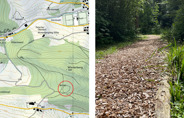 Ein Bild, das Baum, Karte, Text enthält.

KI-generierte Inhalte können fehlerhaft sein.