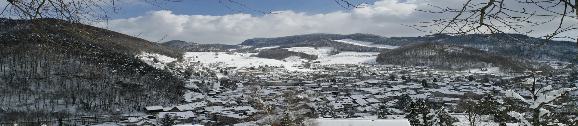 Panoramabild Winter Oberdorf BL